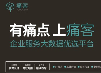 中国首个企业服务大数据优选平台--痛客网亮相2017数博会